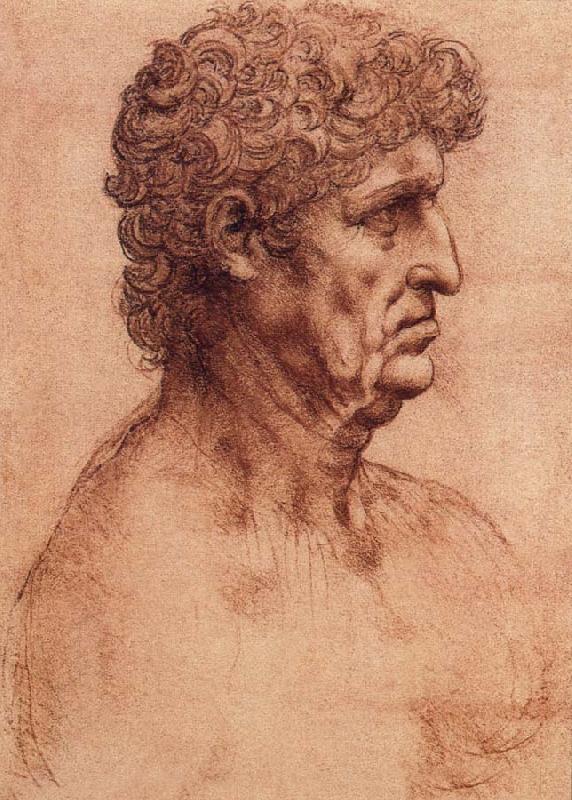 LEONARDO da Vinci Profile of an old man Sweden oil painting art